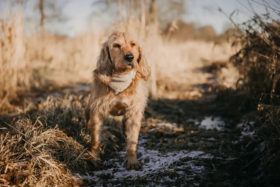 Musselin bandana "Little Hearts"