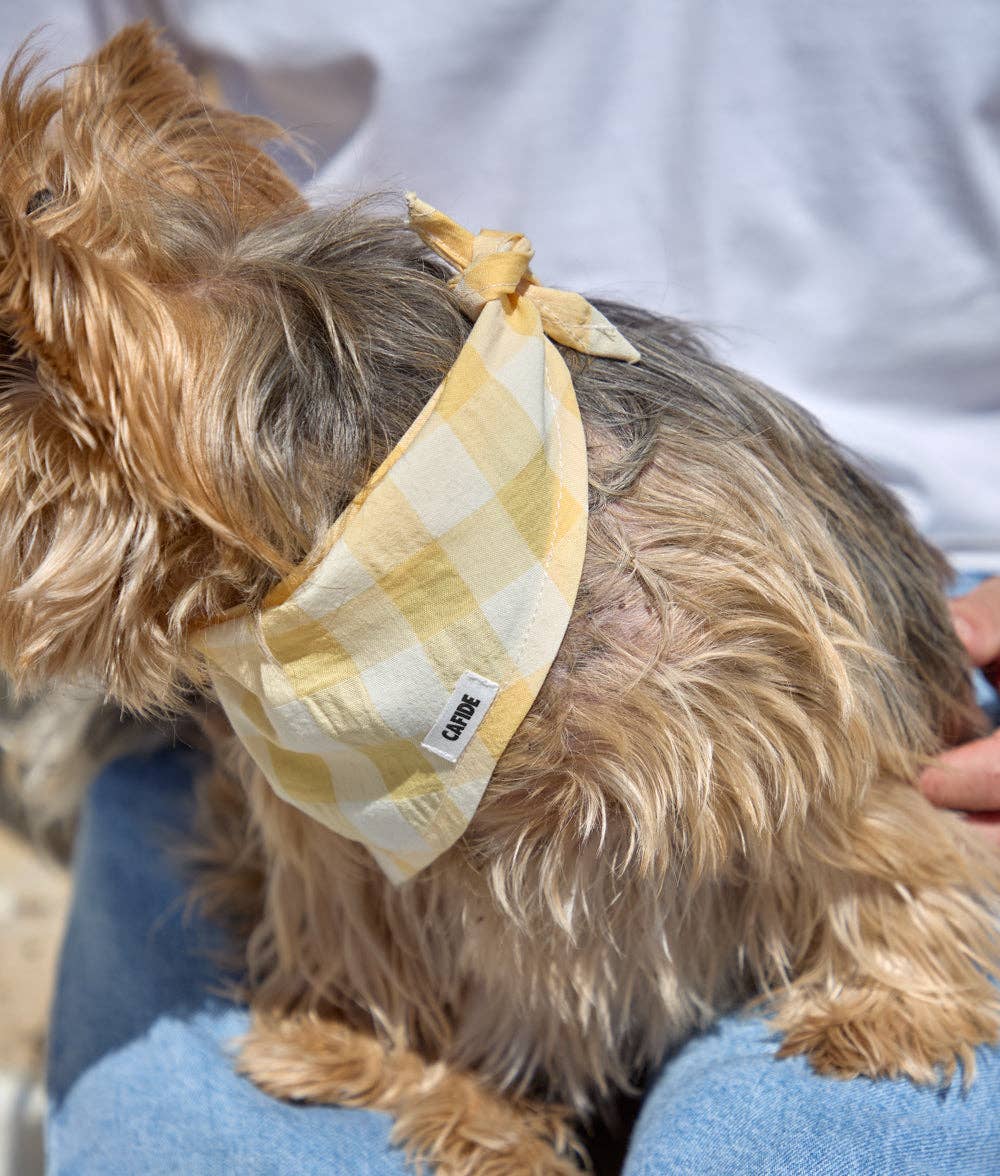Bandana Vichy, gul