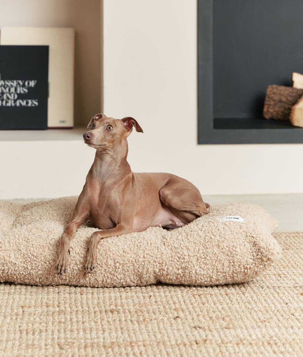 Cafide - Beige Sheepdog hundepude
