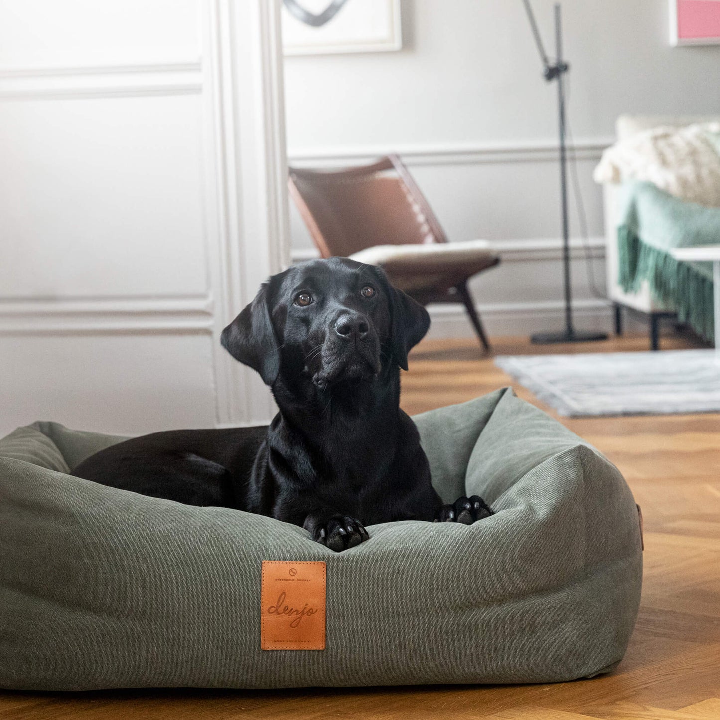Denjo Dogs - Classic nest, Desert Green med læderdetaljer