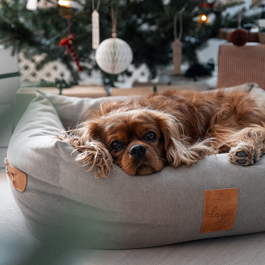 Denjo Dogs - Classic nest, Sand Beige med læderdetaljer