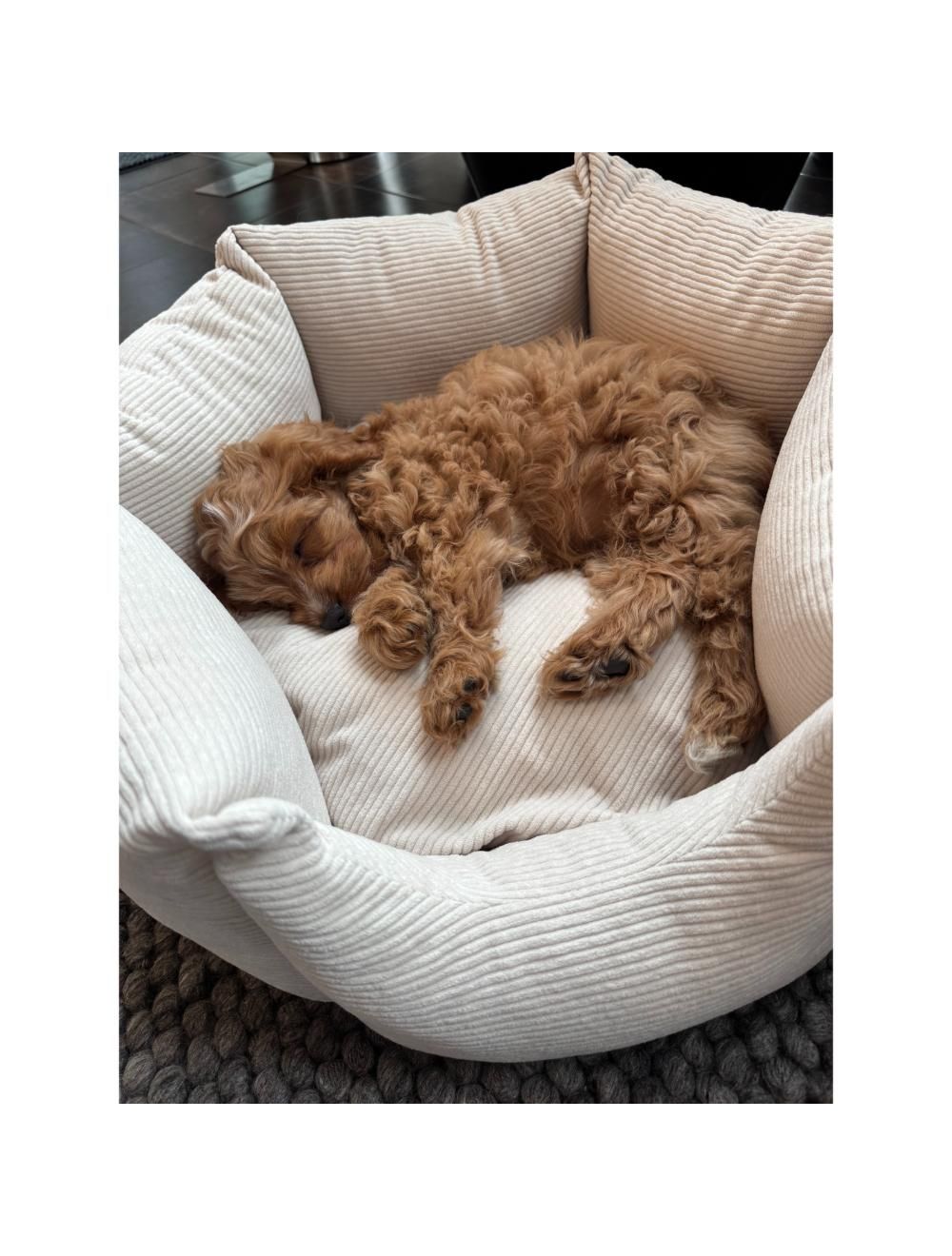 Nordic Paws ComfyHex, Beige
