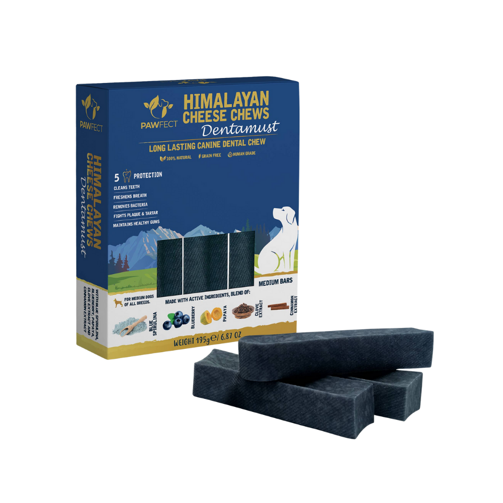Himalaya osteben med blåbær