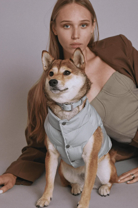 Puffer hundejakke, mint