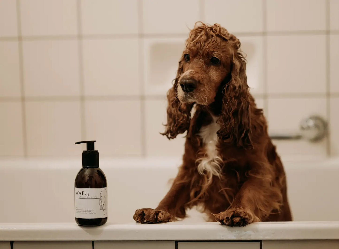 WAP:3 - Shampoo