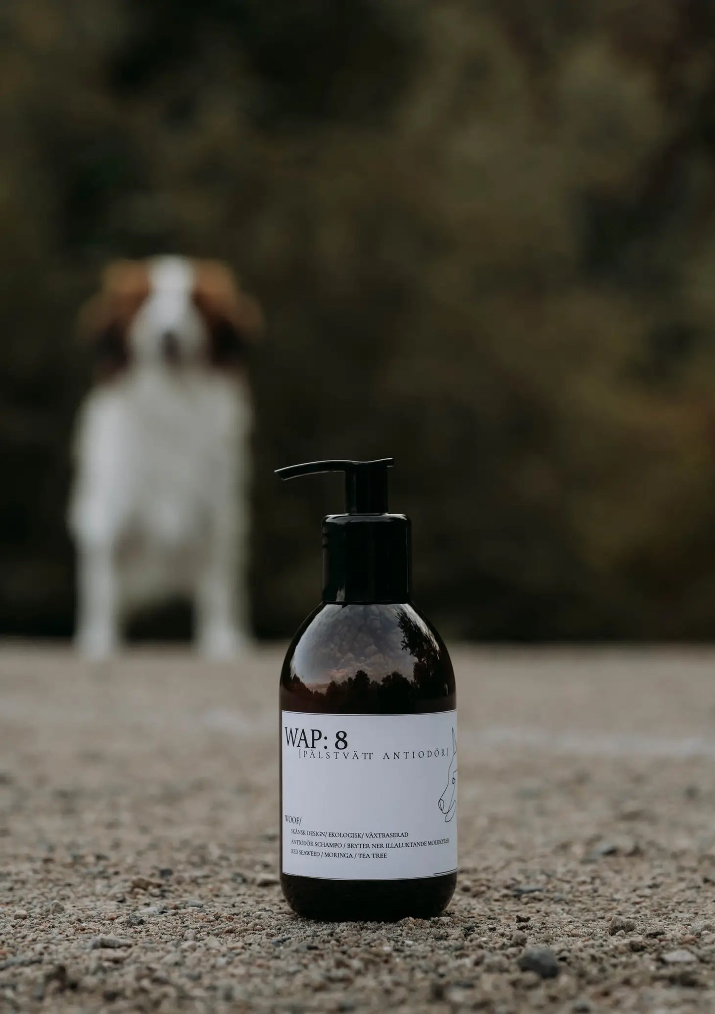 WAP:8 - Shampoo, Anti-lugt