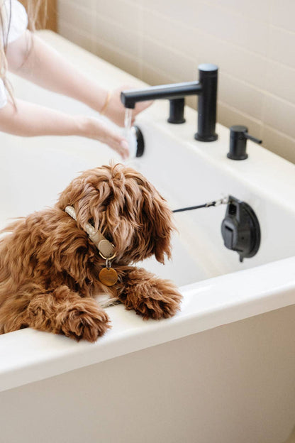 Pupwell Stay In Place snor med sugkop