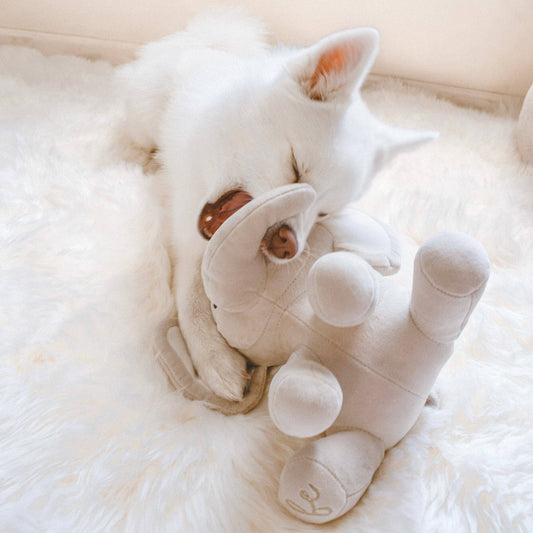 Ella Plush