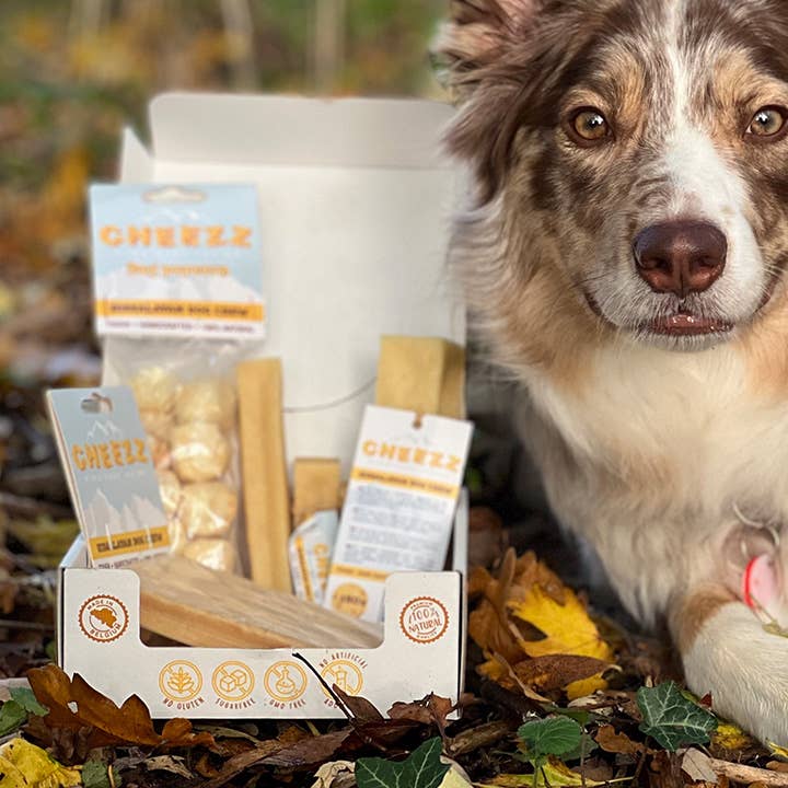 Yaki osteben med gurkemeje - støtte til led og mobilitet 🐕