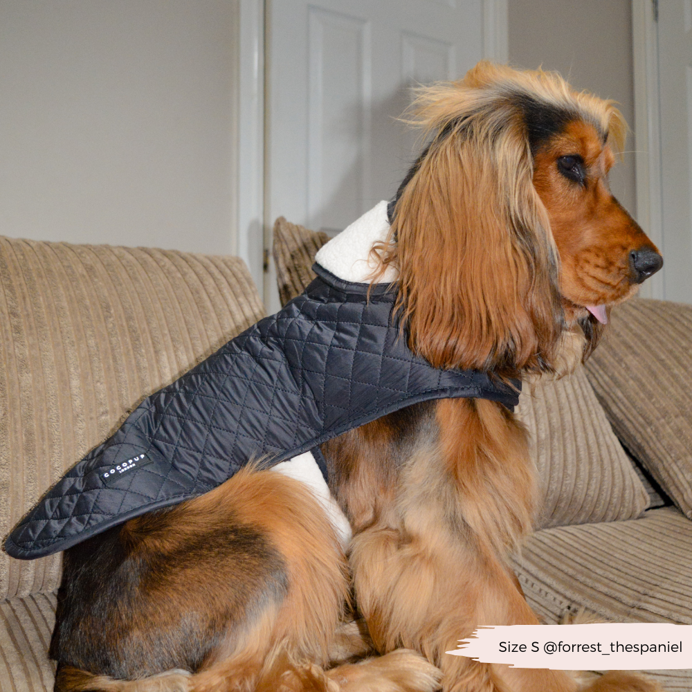 LUXE Quilted Dog Coat 🐾 - Midnight Black