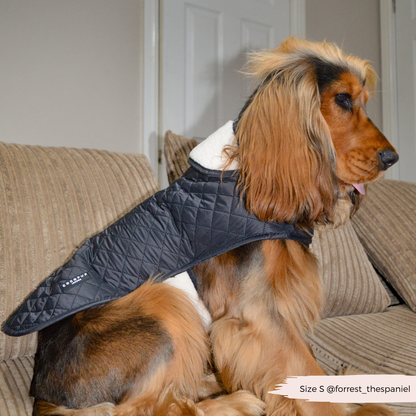 LUXE Quilted Dog Coat 🐾 - Midnight Black
