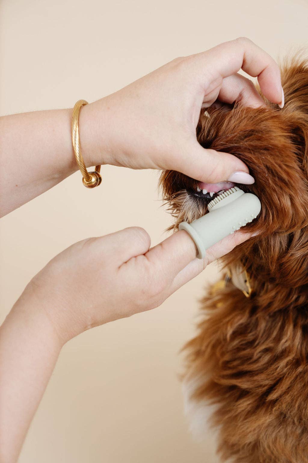 Puppy Breath tandbørste