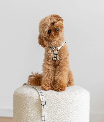 Cafide - Juno hundesele, Linea Beige