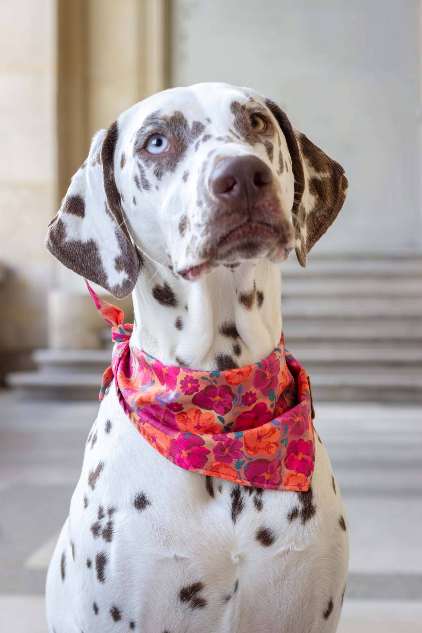 Bandana - Bellagio