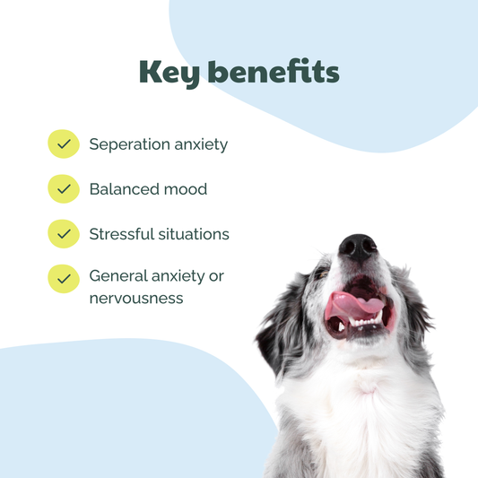 BuddyCare - Beroligende Tyggetabletter