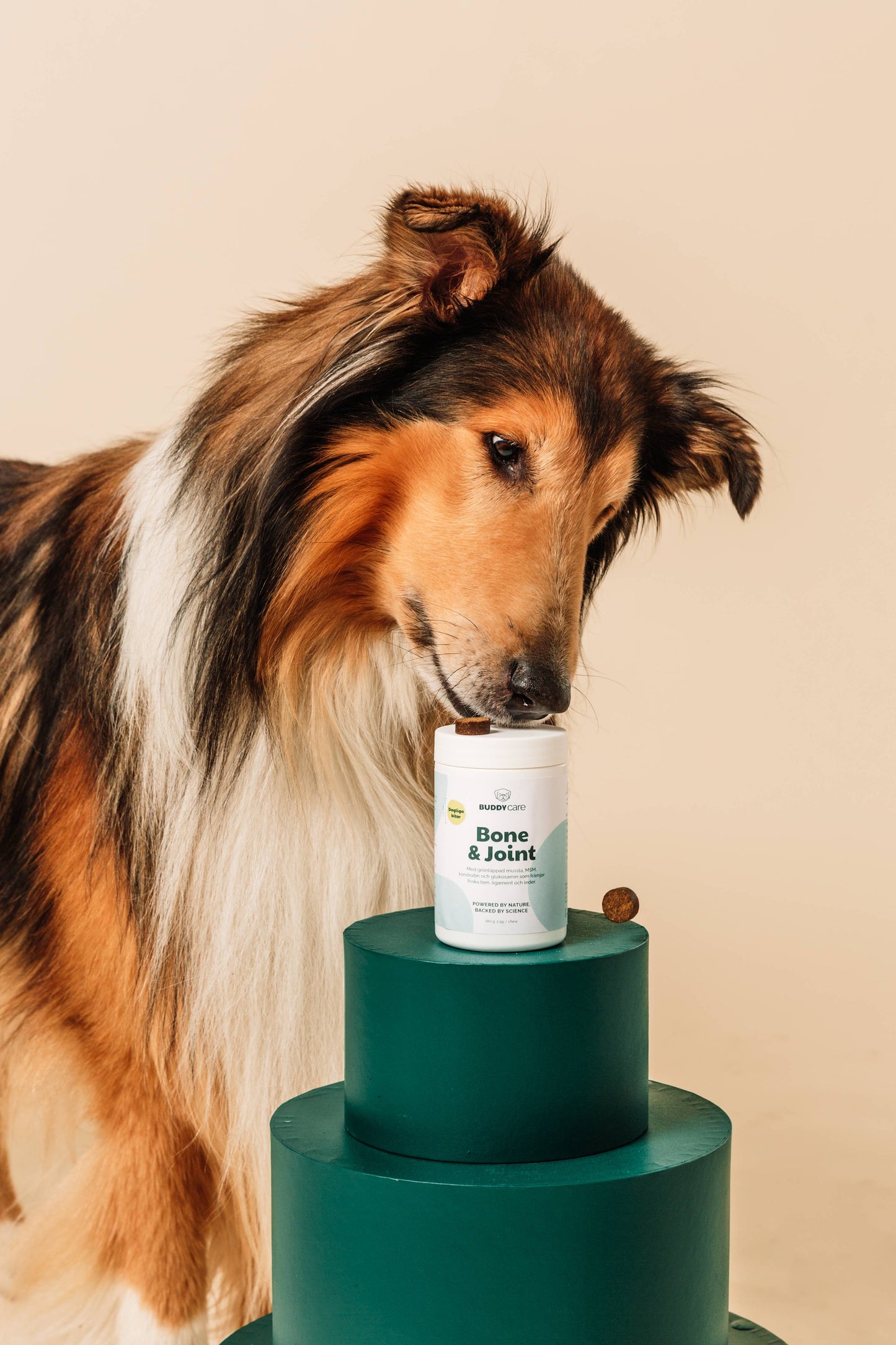 Buddycare - Hofte & Led