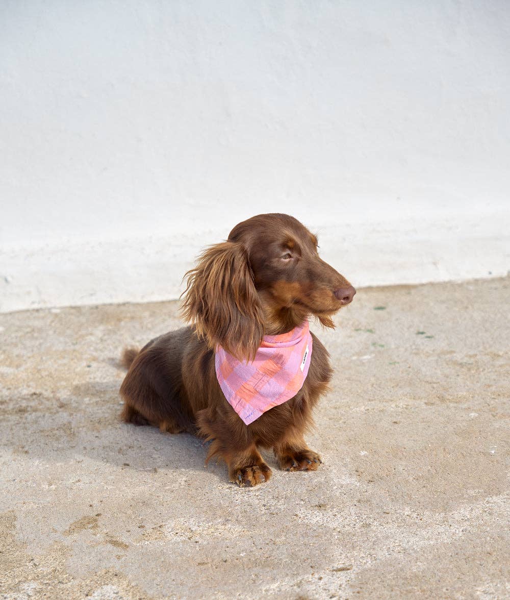 Bandana Vichy, pink