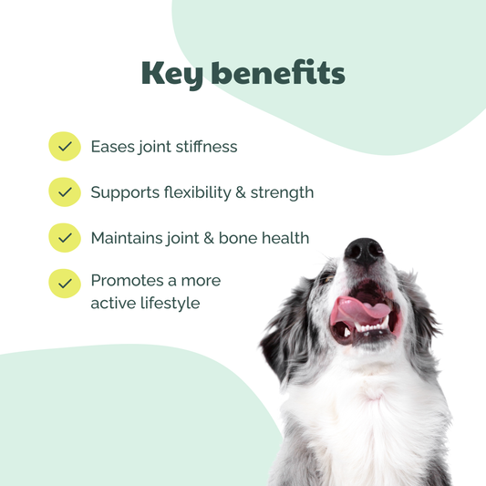 Buddycare - Hofte & Led