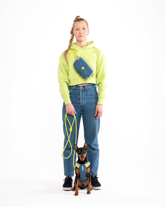 Alpha 360 hip pack - Deep Teal
