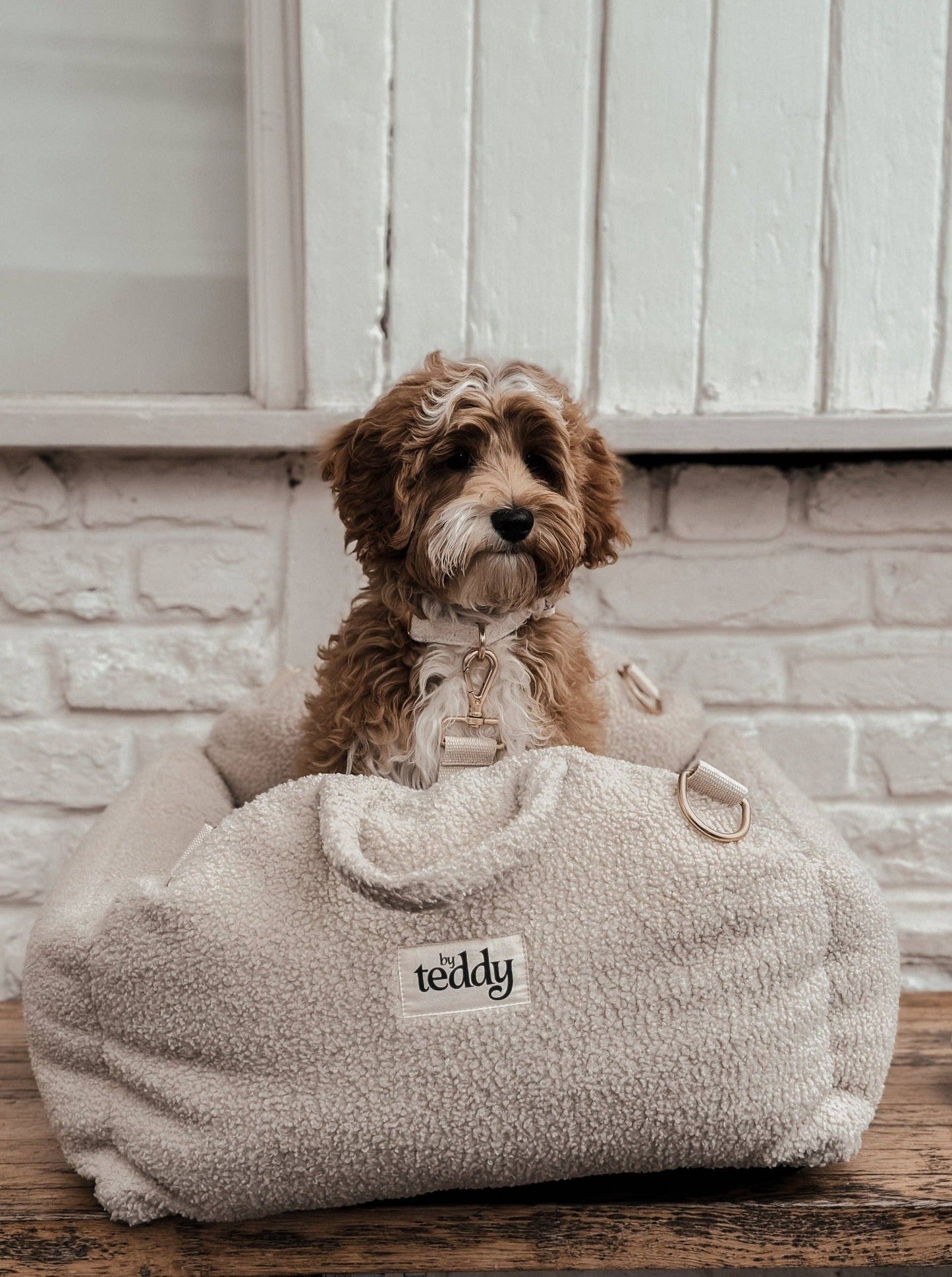 Cosy carseat - sherpa
