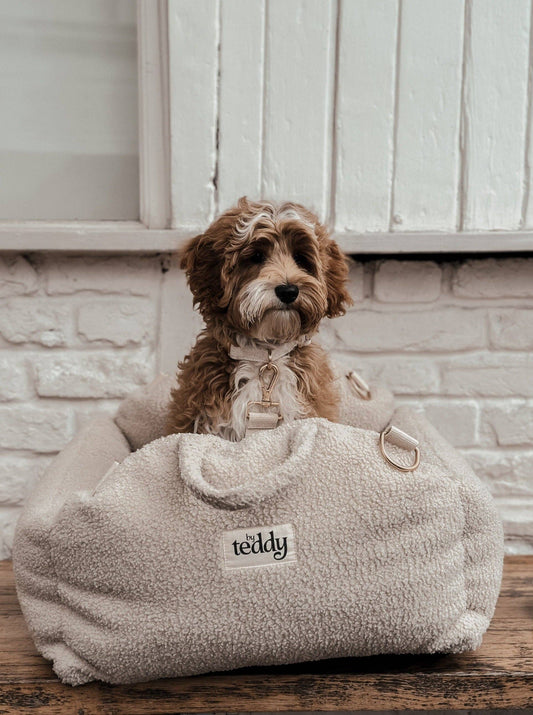 Cosy carseat - sherpa