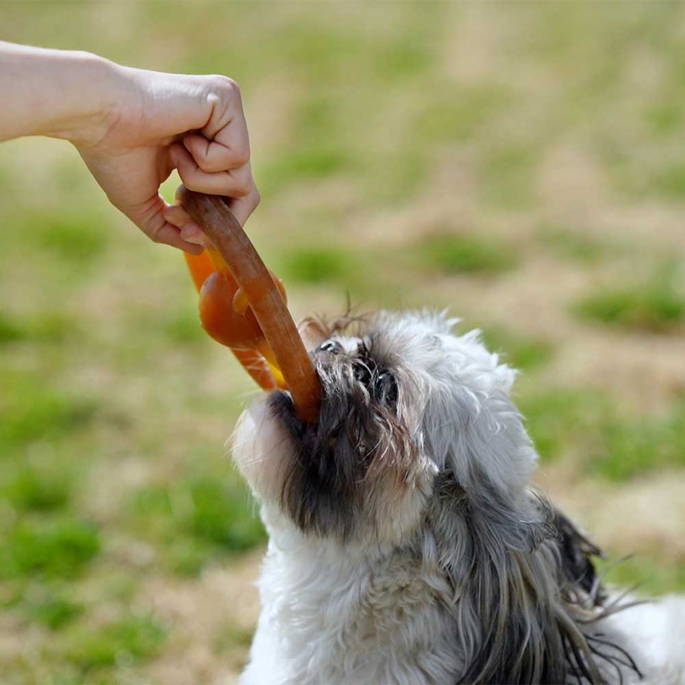 Naturligt hundelegetøj - møllehjul