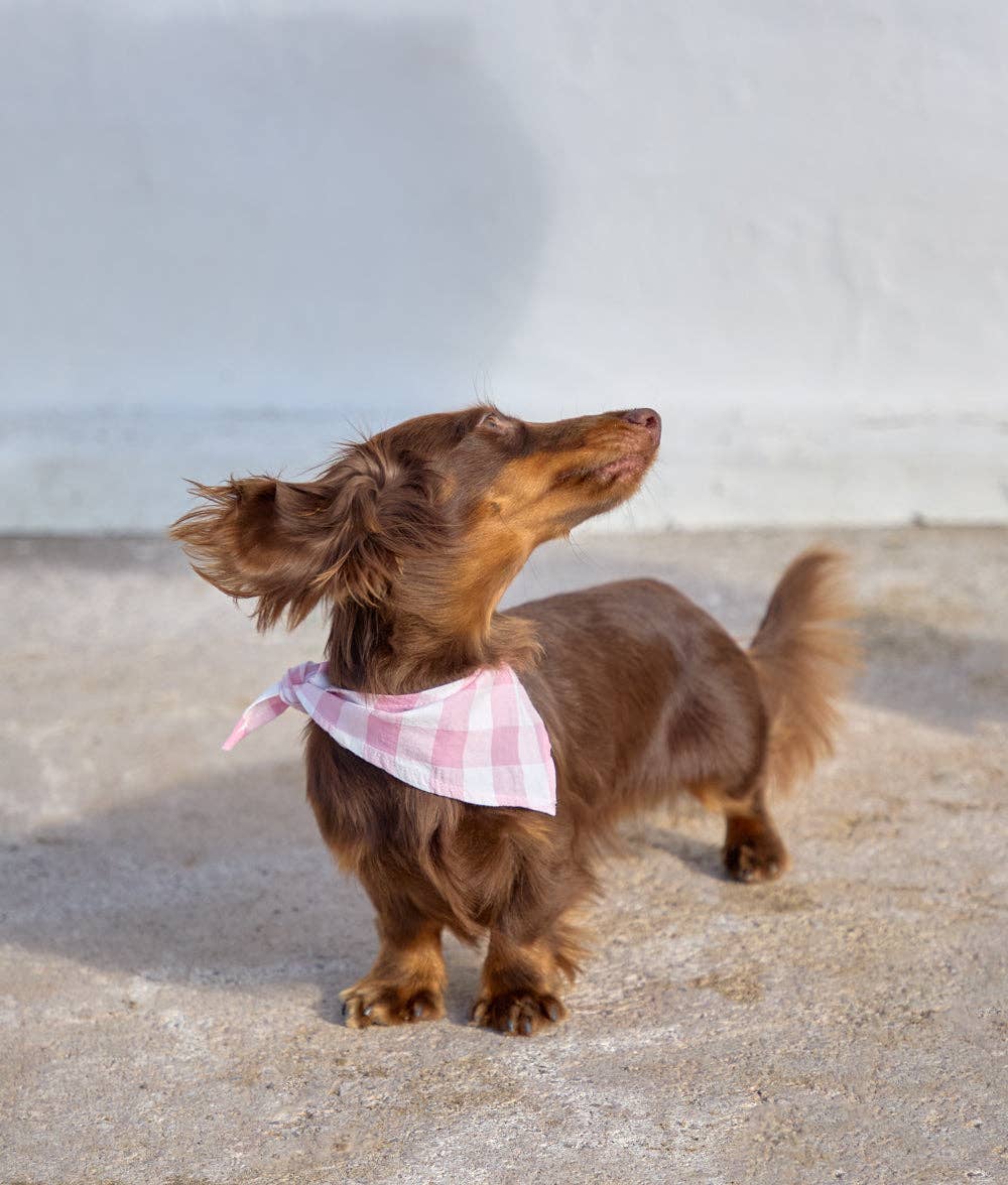 Bandana Vichy, rosa