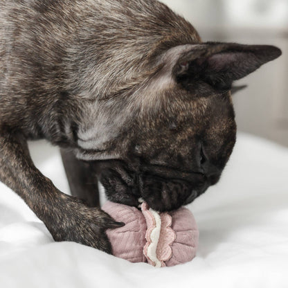 Aktivitetslegetøj - 2-i-1