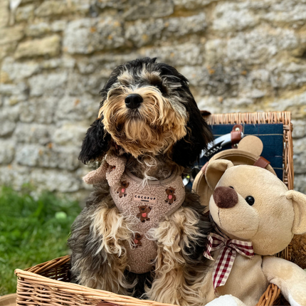 Teddy sele med broderede teddybjørne 🧸