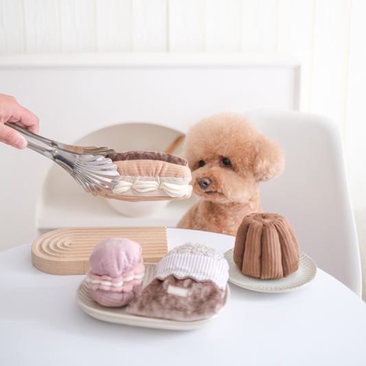 Aktivitetslegetøj - eclair