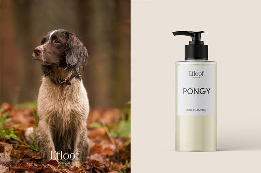 Naturlig hundeshampoo - Orange/May Chang - 300ml L'floof