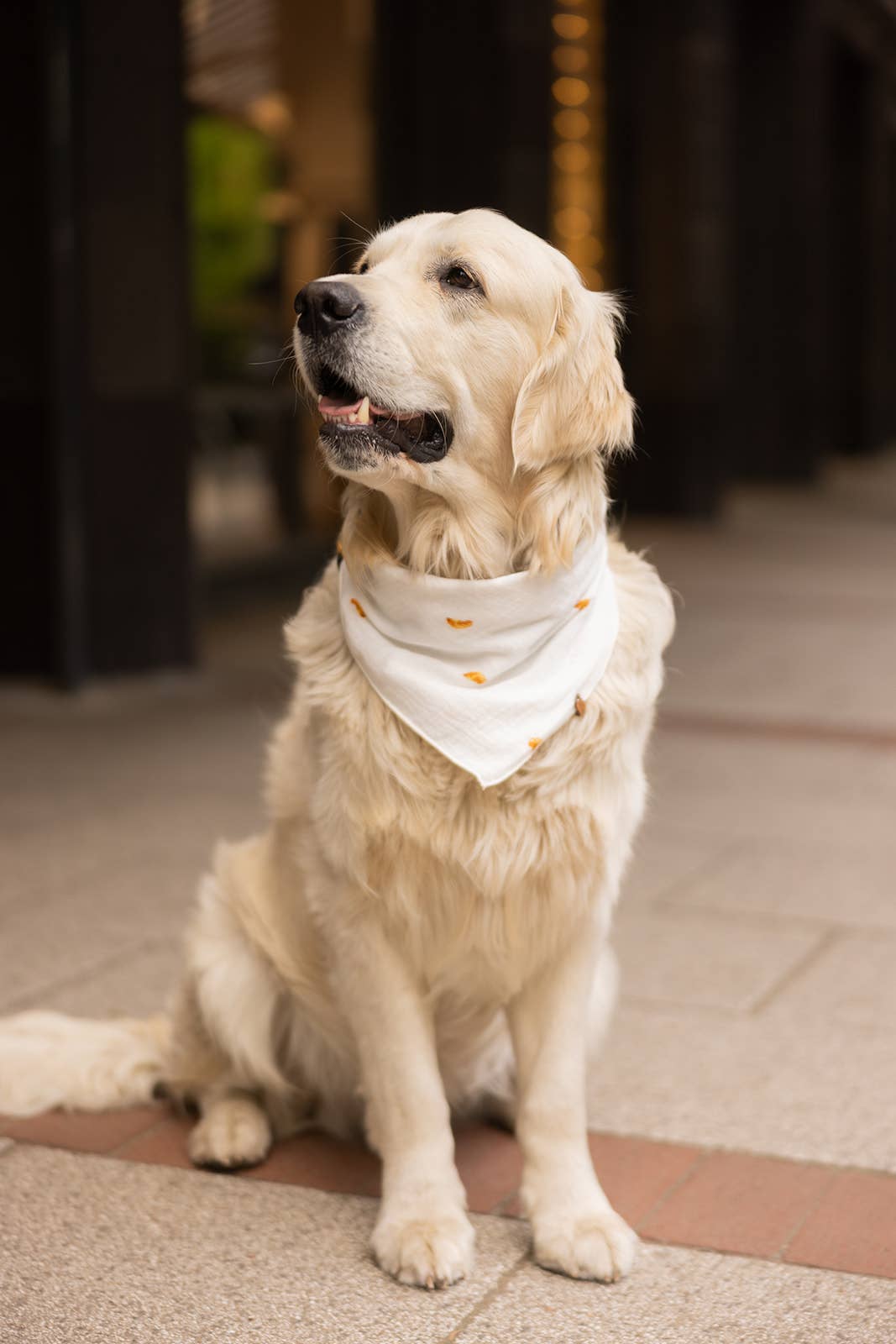 Musselin bandana "CROISSANTS"
