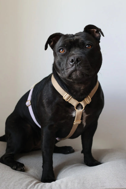 Justerbar hundesele - Lavender