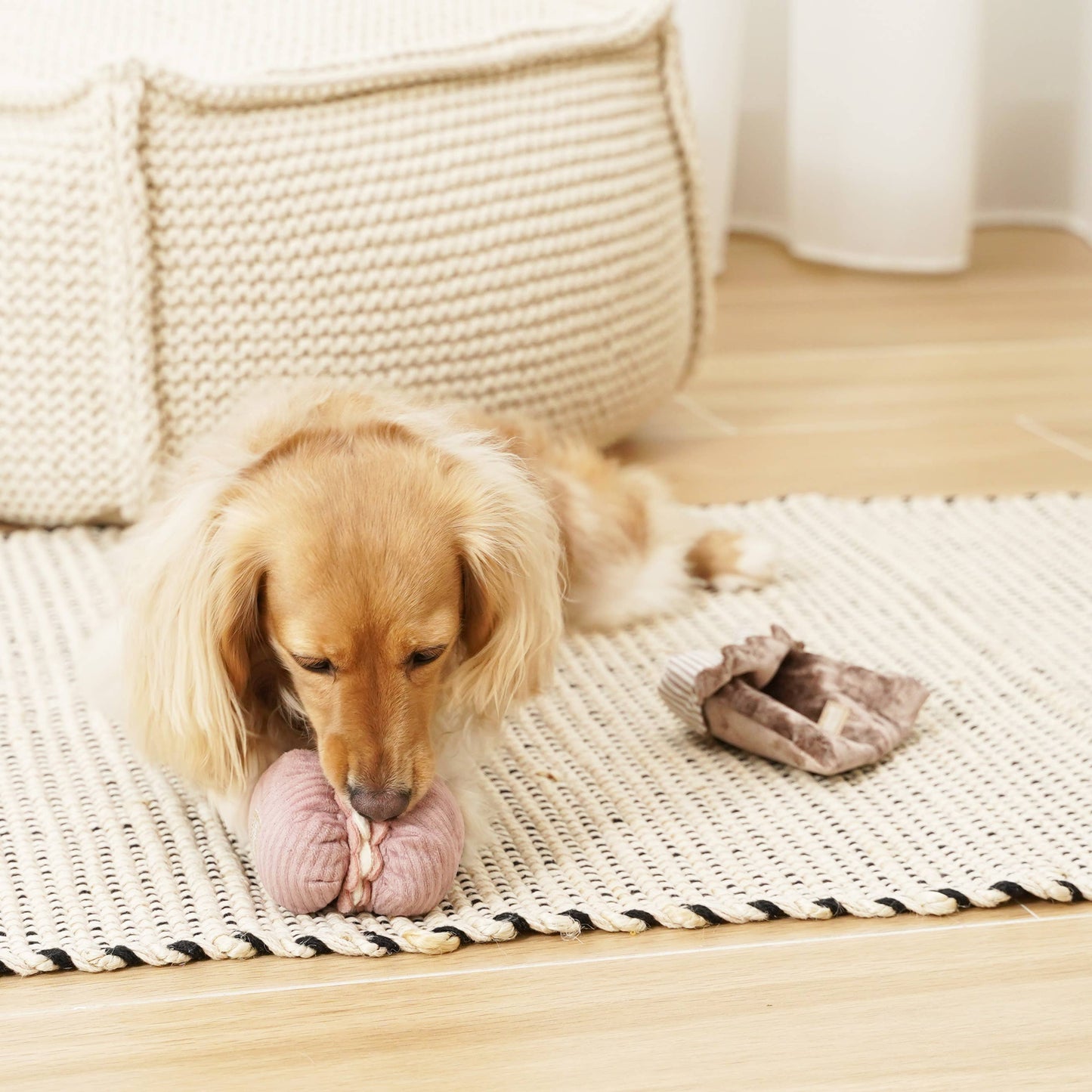 Aktivitetslegetøj - 2-i-1