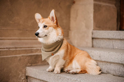 Muslin tørklæde - Olive