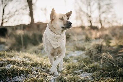 Musselin bandana "Little Hearts"