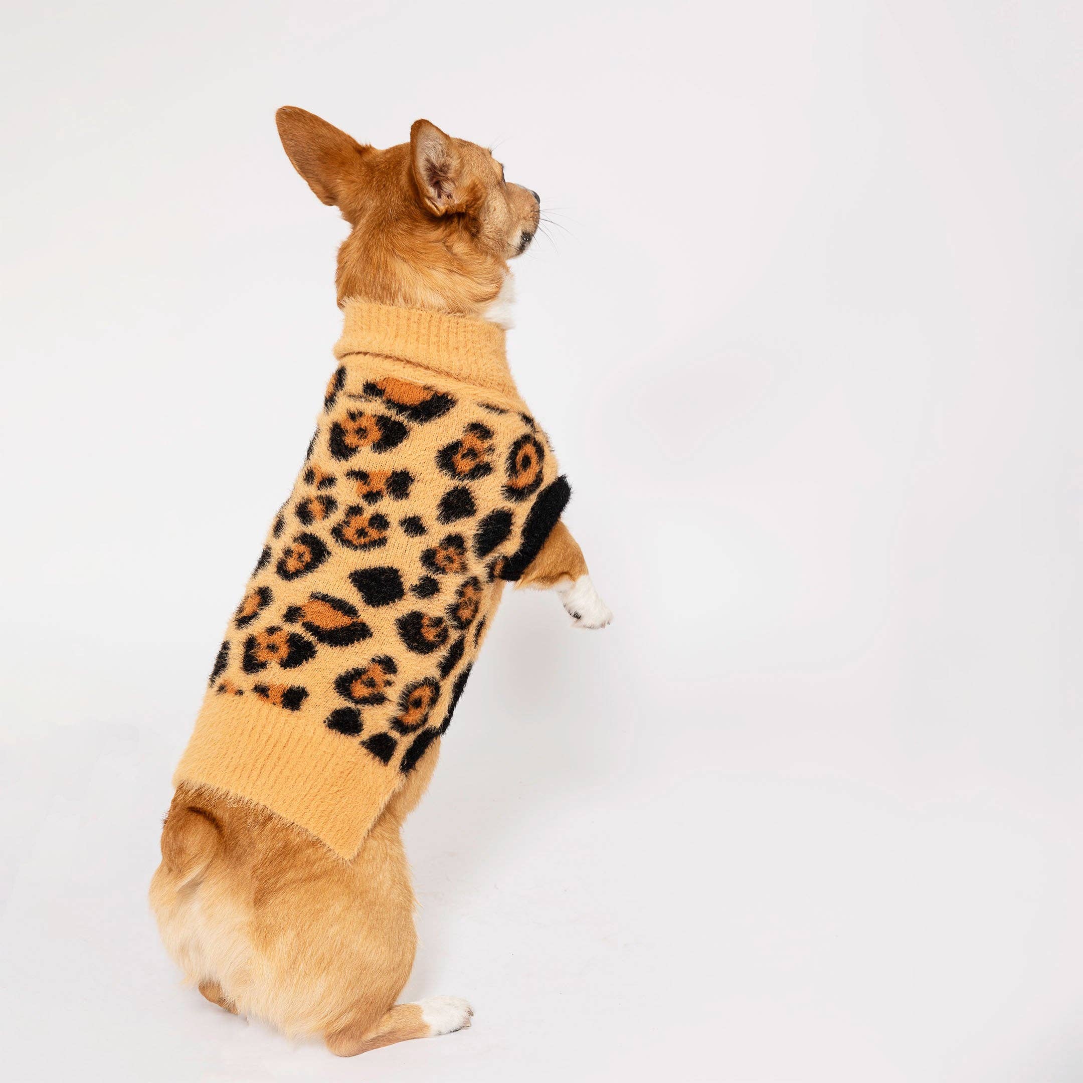 Leopard Sweater