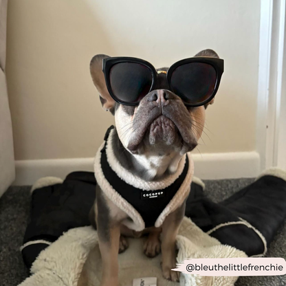 Aviator sele - sort