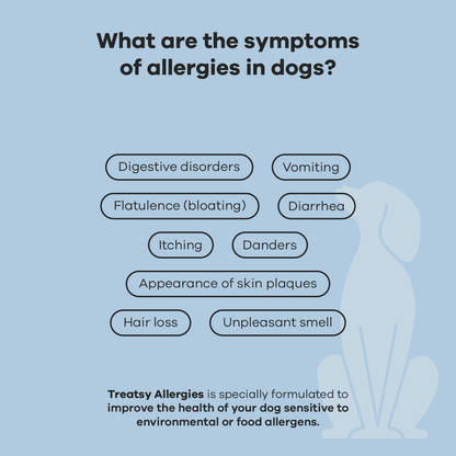 Hund anti-kløe Allergi tilskud