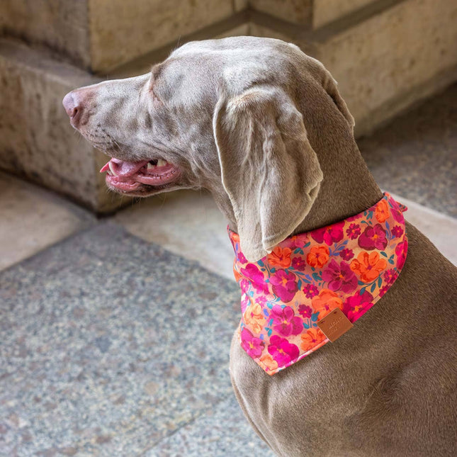 Bandana - Bellagio