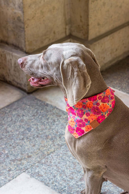 Bandana - Bellagio