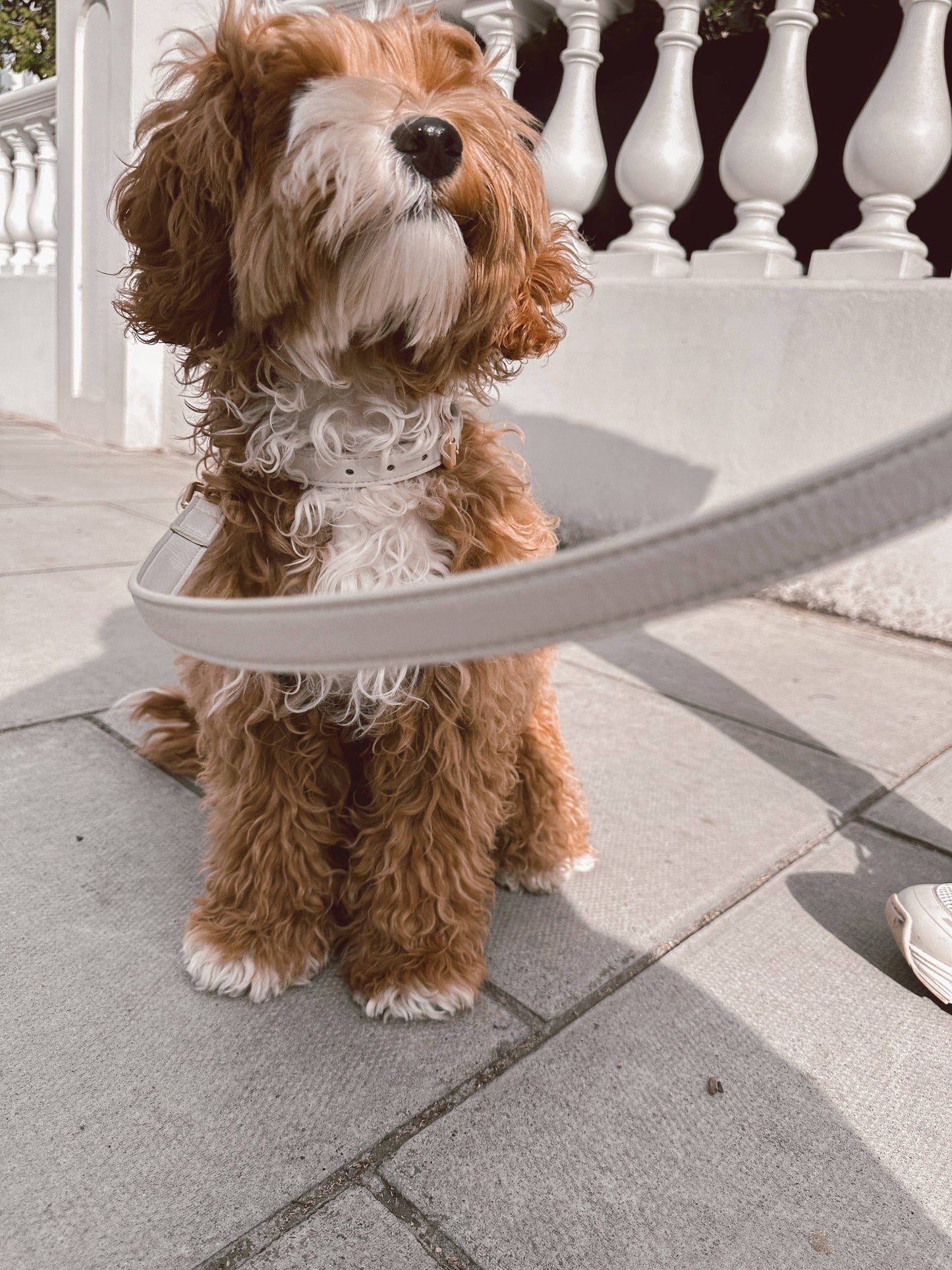 Studio snor - Marshmallow