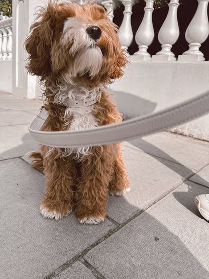 Studio snor - Marshmallow