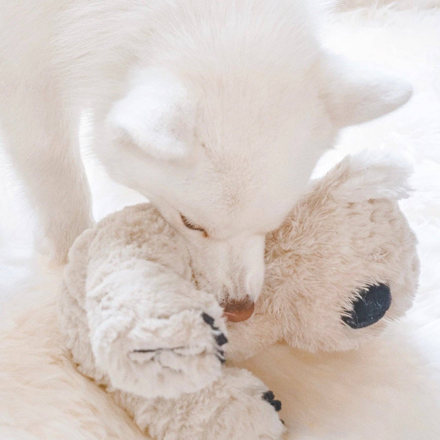 Koko Plush