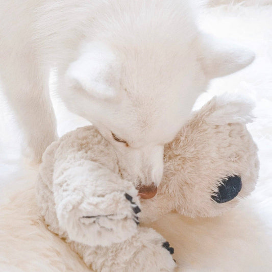 Koko Plush