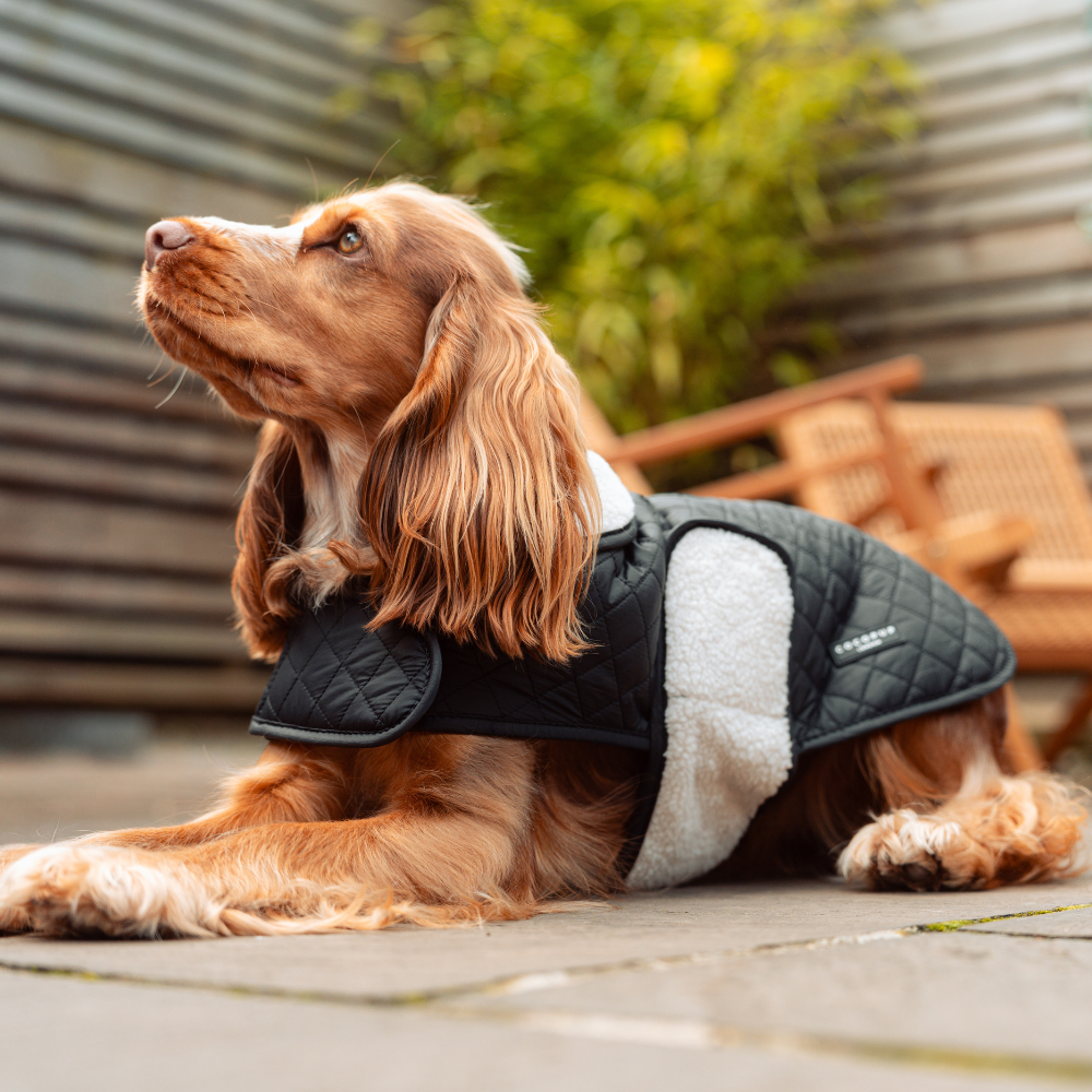 LUXE Quilted Dog Coat 🐾 - Midnight Black