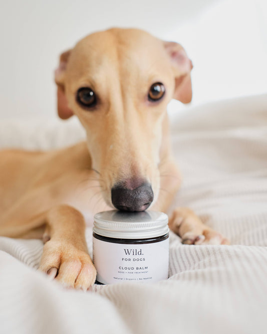 Cloud Balm: Næse, Pote & Hudbehandling 60ml