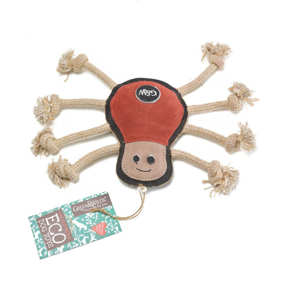 Spike the Spider