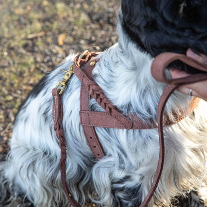 Denjo Dogs - Stockholm snor - Hazel læder - 155 cm