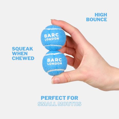 Blå mini tennisbolde - 5-pak